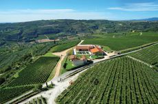 Tenuta Sant&rsquo;Antonio
