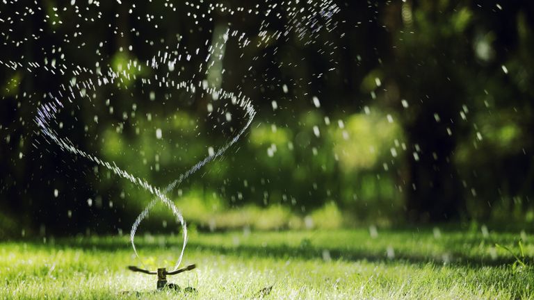 watering a lawn with a garden sprinkler