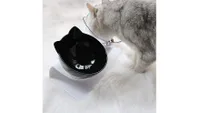 Best anti-vomit bowl for cats