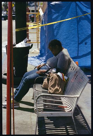 From 'Homeless in Hollywood', exhibiting at the Wex Photo Video Gallery (© Steven Berkoff)