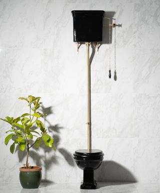 Black toilet by Rutland with marble backdrop and planted pot by Rutland