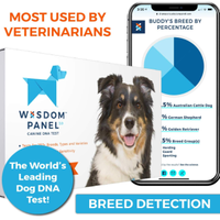 Wisdom Panel 3.0 Canine DNA Test: $84.99