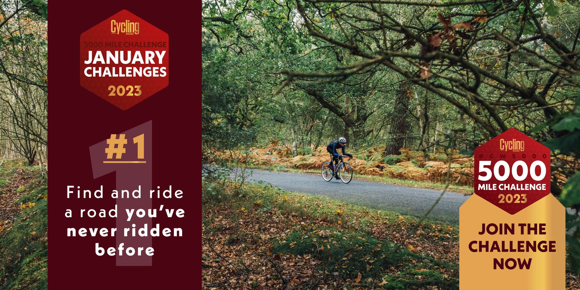 CW5000 monthly challenges