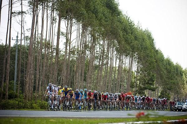 The peloton were in no hurry to reel the leading trio in on another hot day in the saddle.