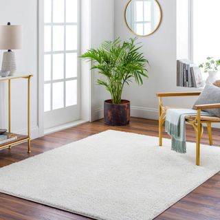 Judy Solid White Washable Rug in a minimalist living room