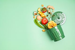 Image of a small bin with wasted food