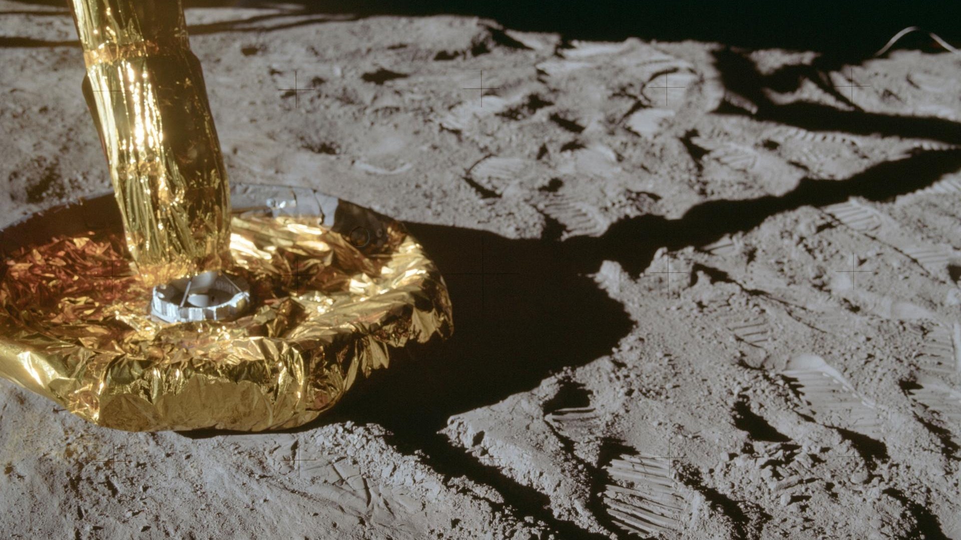 a gold-foil covered foot-like appendage attached to a metal pole rests in grey soil dotted with boot-clad footprints