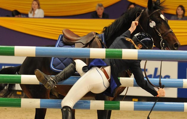 Horse of the Year show 2008 HOYS 8/10/08