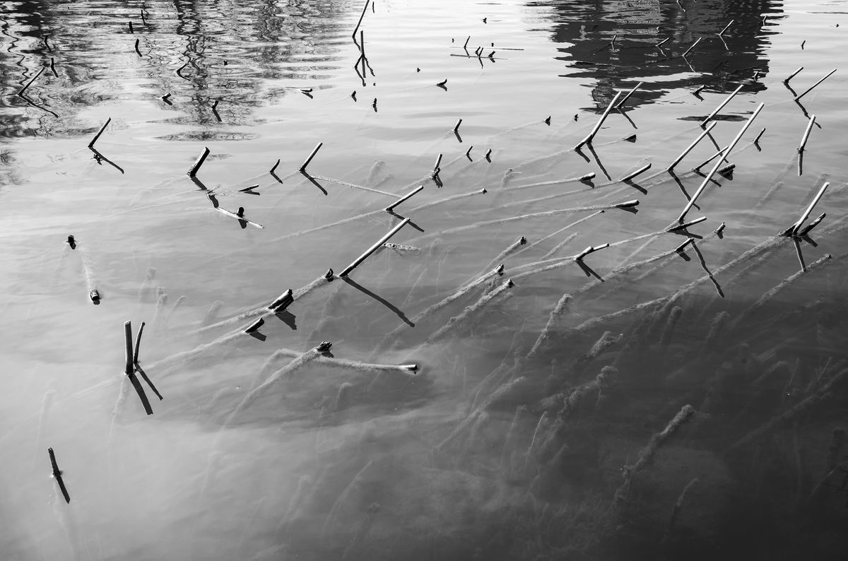 Leica M10 Monochrom