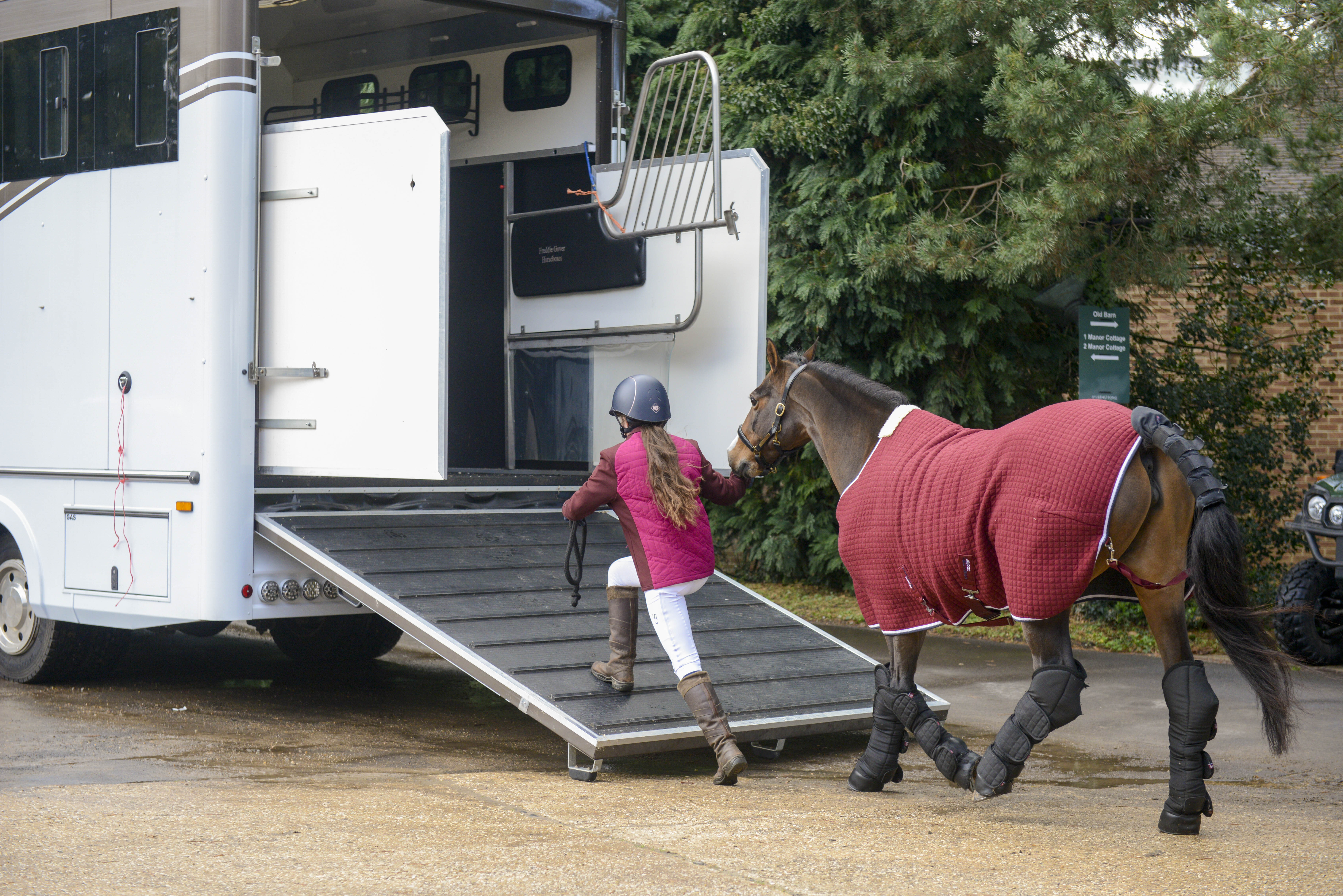 dressage on a budget