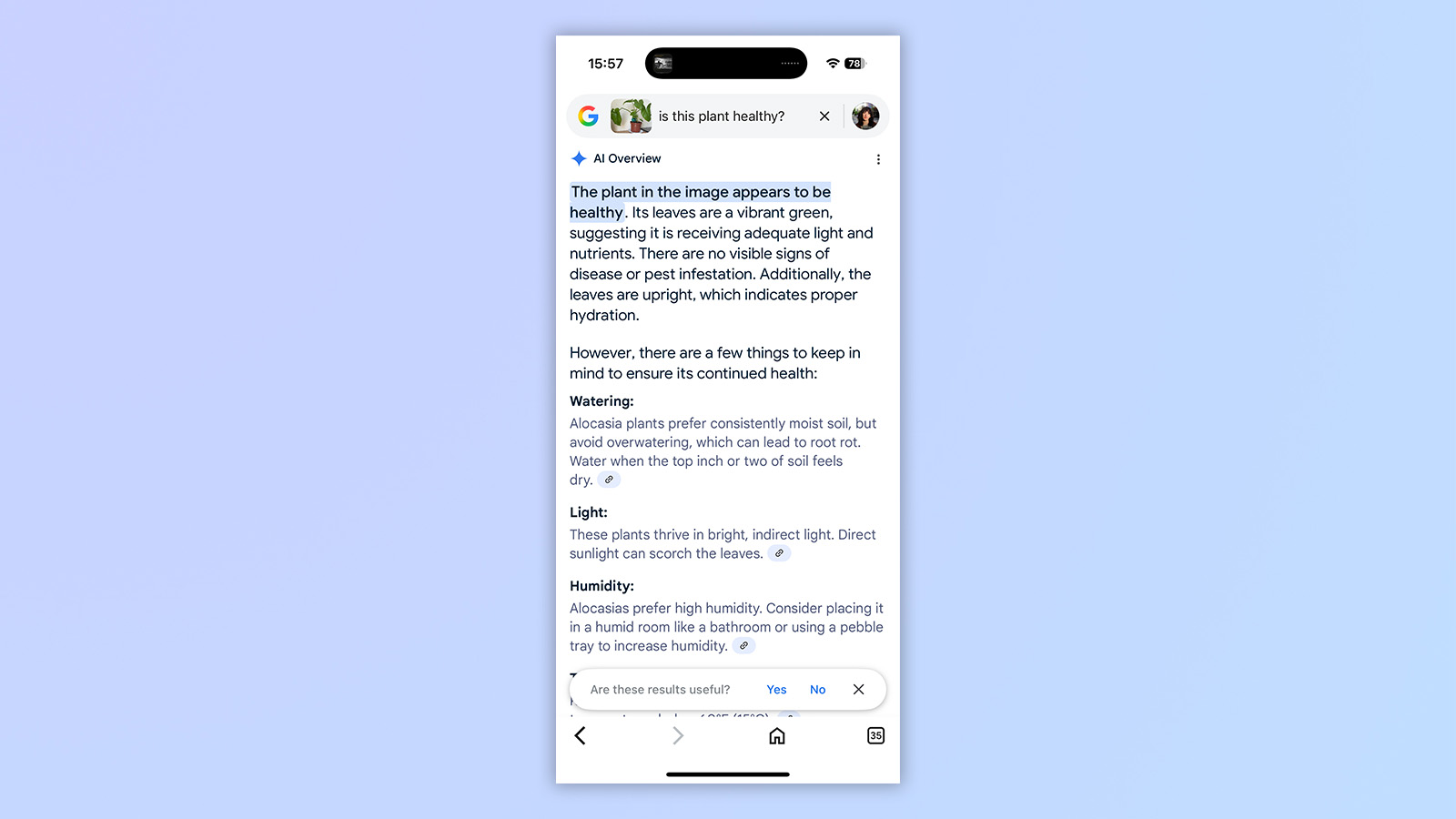 a screenshot from the gemini google ai app showing asking if a plant is healthy and google gemini's response