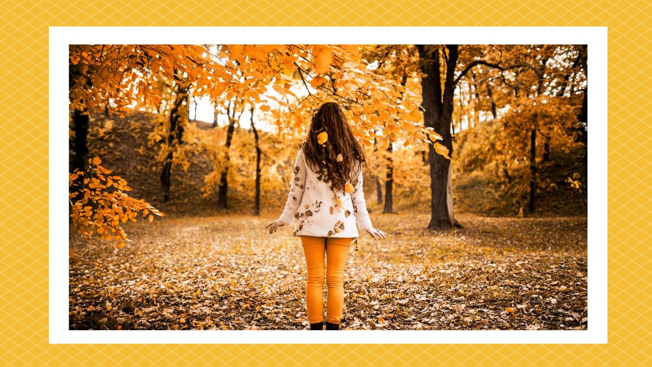 a woman in a sweater embracing the changing leaves, meant to symbolize the fall equinox 2023