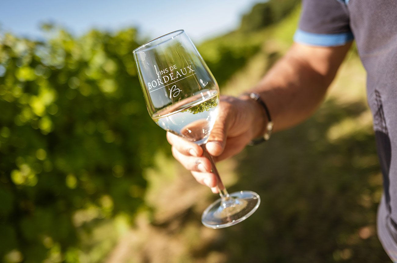 A hand holding a glass of white wine with blurry vines in the background