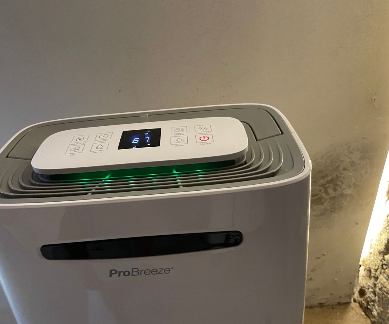 Pro Breeze 20L Dehumidifier in the cellar