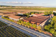 Vega Sicilia producer profile