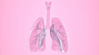 glass lungs on pink background