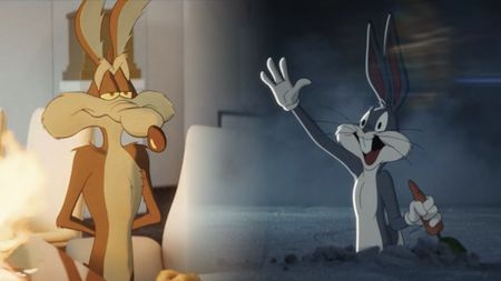 Coyote vs Acme
