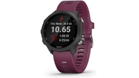 Garmin Forerunner 245: was £249.99, now £149 at Amazon