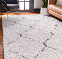 Moroccan shag rug from Rugs.com