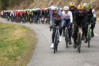 The pack of riders cycles during the 5th stage of the Paris-Nice cycling race, 196,5 km between Saint-Just-en-Chevalet and La CÃ´te-Saint-AndrÃ©, on March 13, 2025. (Photo by Anne-Christine POUJOULAT / AFP)