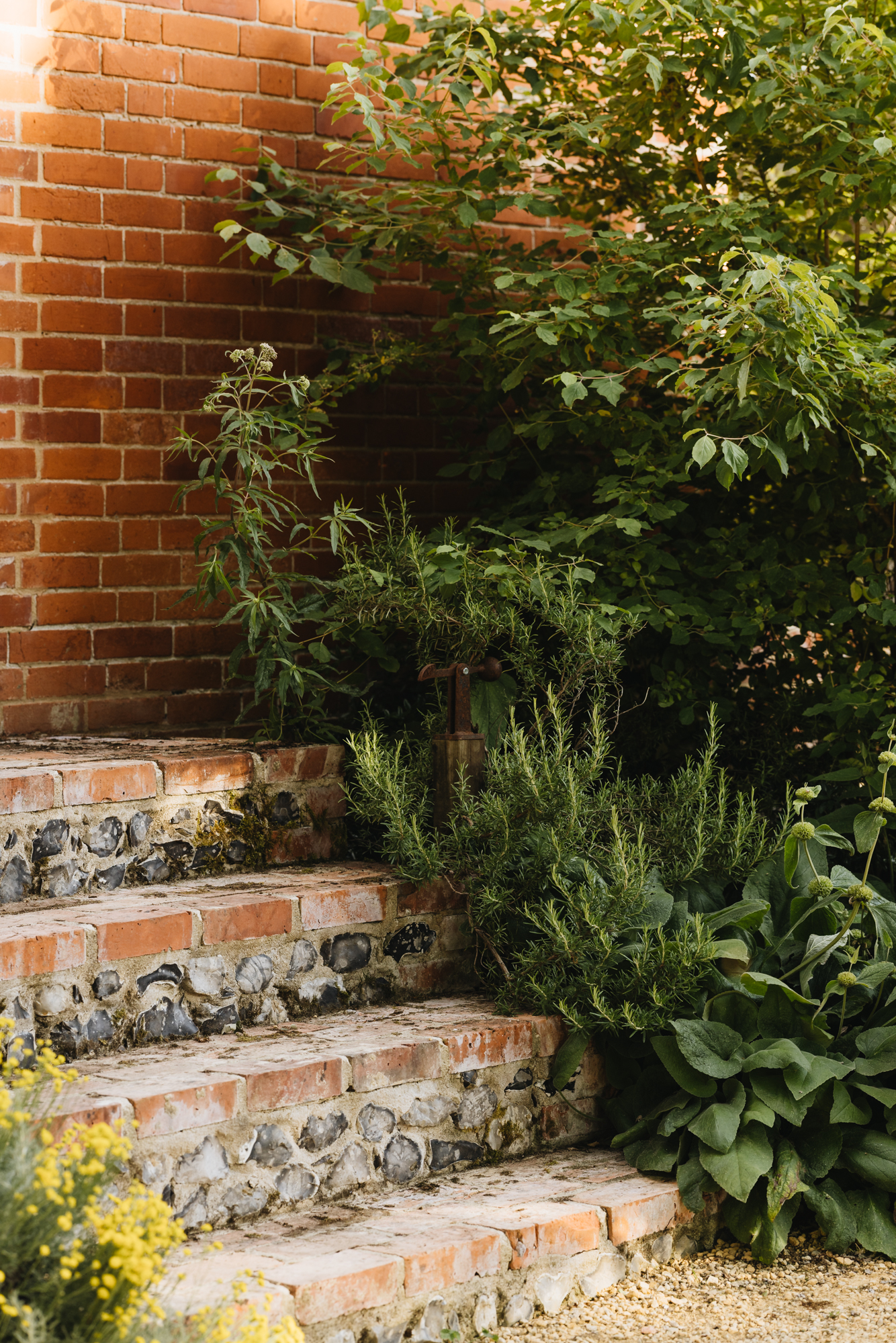 Interiors and gardens of a former milking parlour in Berkshire