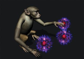 A team of Duke University researchers headed by Miguel Nicolelis have added an artificial tactile sensations to their brain-machine interface that enacted reaching movements of a virtual-reality upper limb (monkey avatar, depicted in the image).