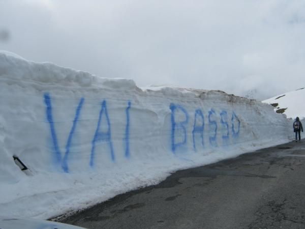 Vai Basso - Go Basso written into the banks of snow