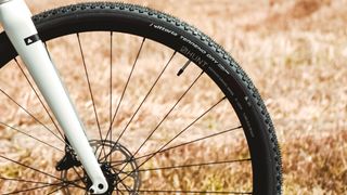 The Cairn Cycles E-Adventure Rival and Vittoria Terreno Dry tires