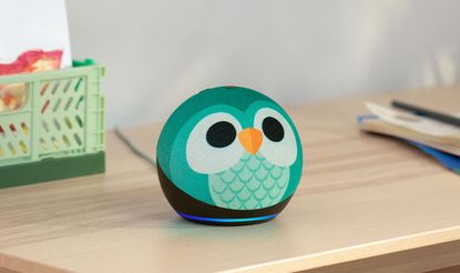 echo dot that has the cartoon face of a bird on a kid&#039;s wooden desk