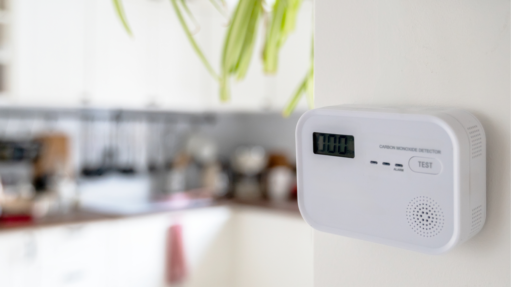 carbon monoxide alarm on wall in kitchen