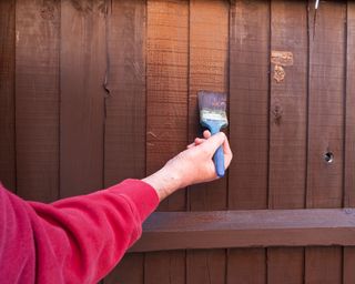 man painting his garden fence with wood preserver