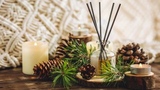 A reed diffuser amongst pinecones and branches