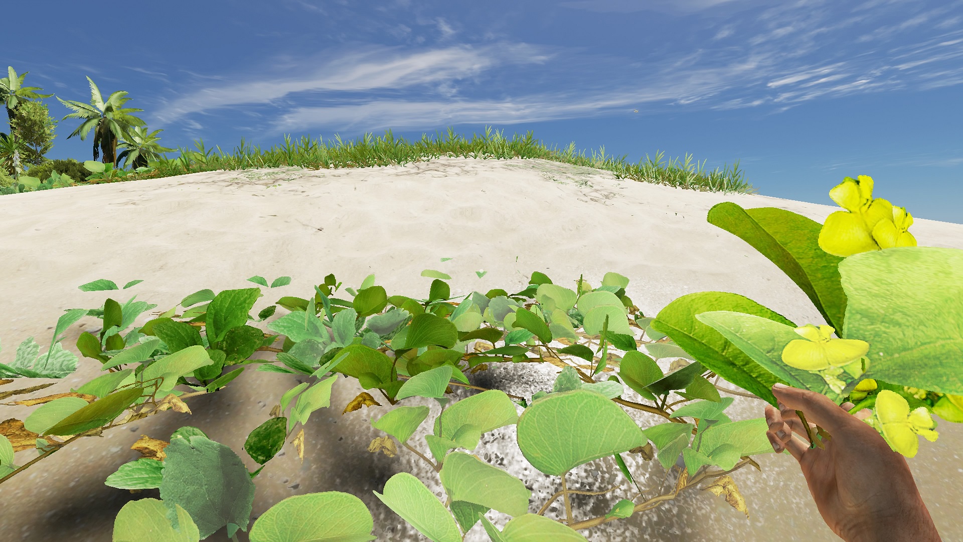 How to find the Pipi plant in Stranded Deep and craft a poison antidote