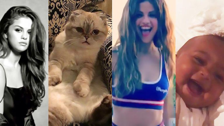 Grid of Instagram images including Selena Gomez and a cat