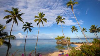 Arial view of palm trees and a beach on Fiji