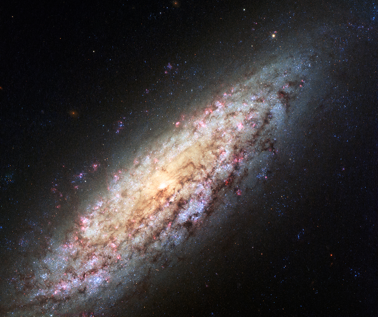 The spiral galaxy NGC 6503 