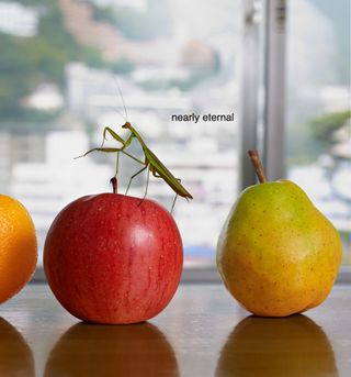 A grasshopper sits on top of an apple beside the words "nearly eternal"