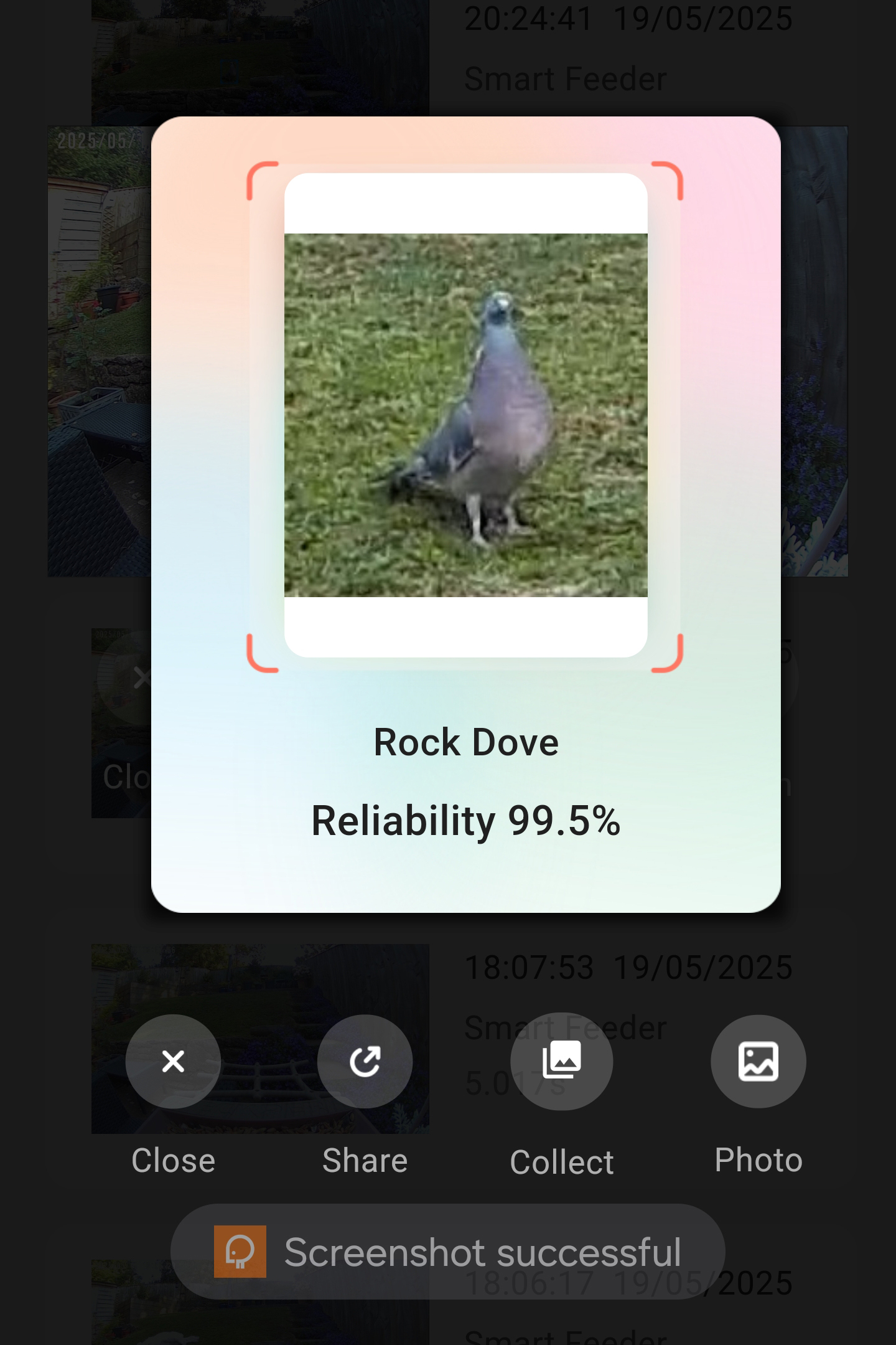 PeckPerk bird camera review