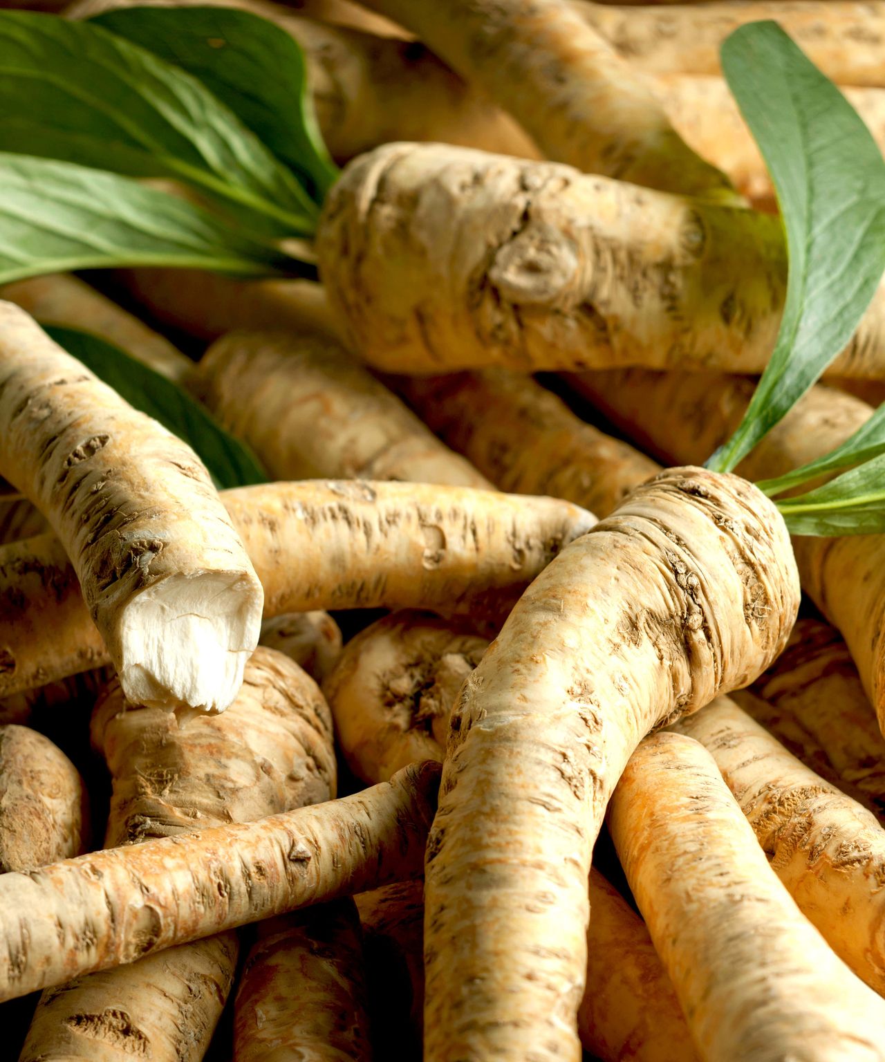 How to grow horseradish expert tips on this spicy root Homes & Gardens