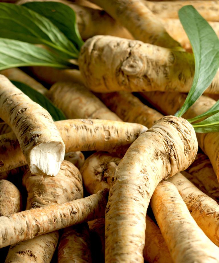 How to grow horseradish expert tips on this spicy root Homes & Gardens