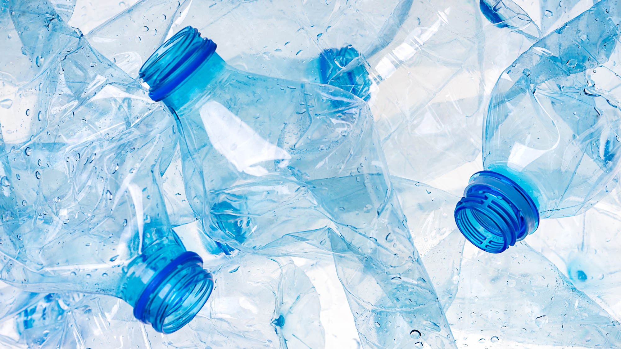 Crushed plastic bottles