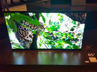 Sony's OLED TVs Look Great in More Ways Than One