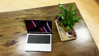 MacBook Pro 2021 14 inch on tablet by a plant