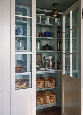 kitchen pantry with color drenched interior