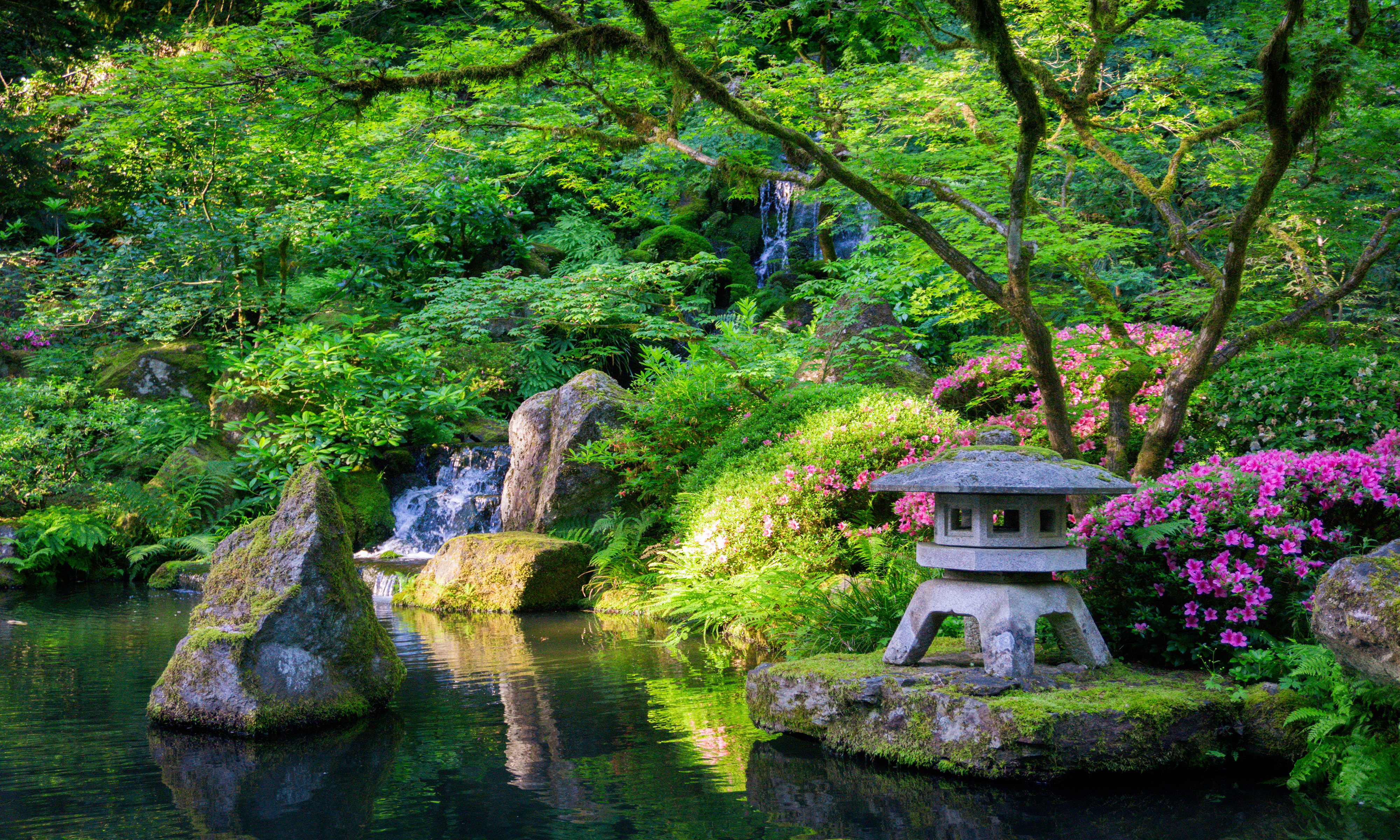 Trees and pond at Portland Japanese Garden