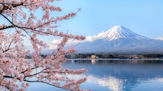 Mount Fuji, Tokyo, Japan