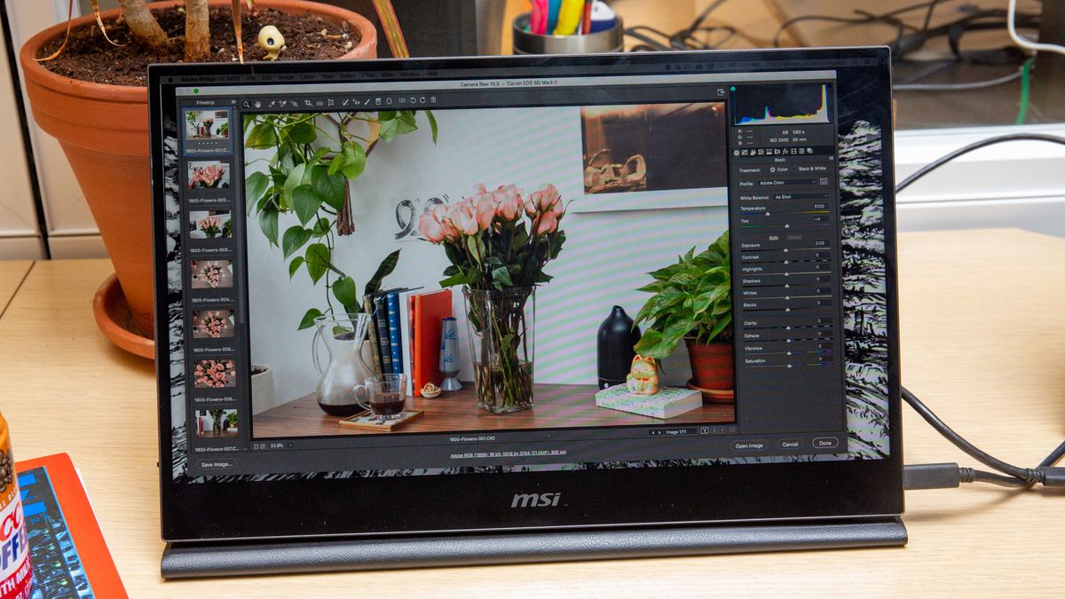 MSI Optix MAG161V Portable Monitor Review: Versatile, but Dim