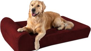 big barker orthopedic dog bed