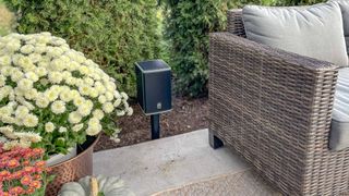 Lodge Powered speaker in an outdoor setting near some flowers