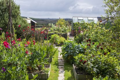 tarling greenhouse shed in flower garden